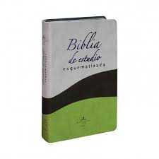 Biblia de Estudio Esquematizada-Rvr 1960 (Spanish Edition) Leather Bound