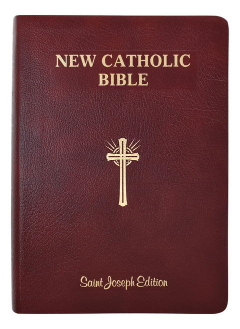 617/13BG   St. Joseph New Catholic Bible (Giant Type)