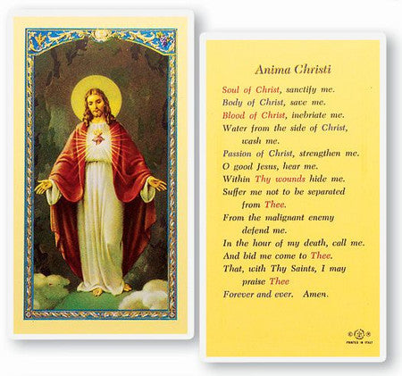 ER24-174 ANIMA CHRISTI