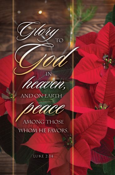 Christmas - Glory to God in heaven, Luke 2:14 Bulletin