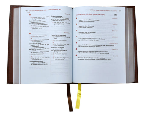 Lectionary - Weekday Mass (Vol. IV) Volume IV: Common Of Saints, Ritual Masses, Masses For Various Needs, Votive Masses And Masses For The Dead