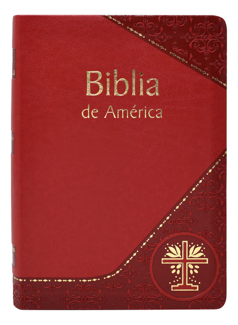 610/19BGS Biblia de America