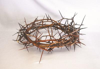 2780-13 Crown of Thorns 13"