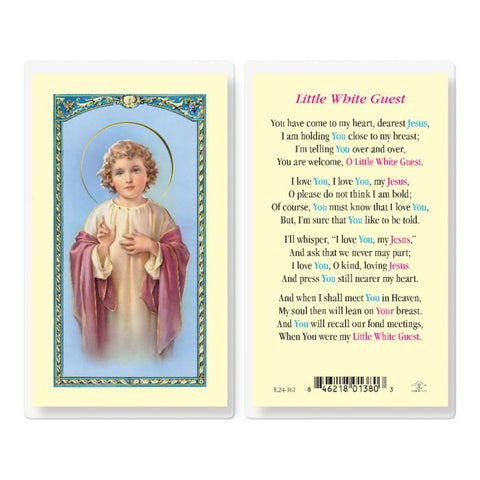 e24-167 little white guest