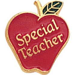 CG756 SPECIAL TEACHER PIN