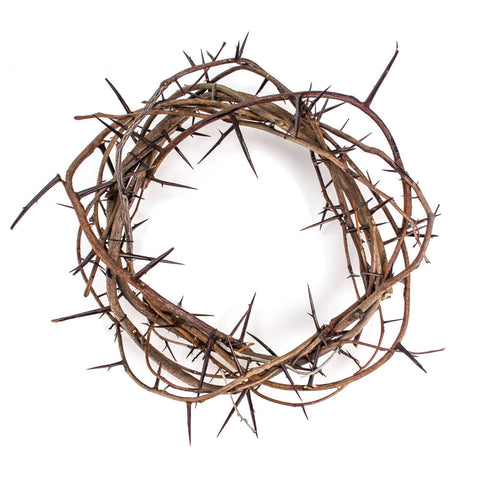 Crown of Thorns 24 inch Diameter